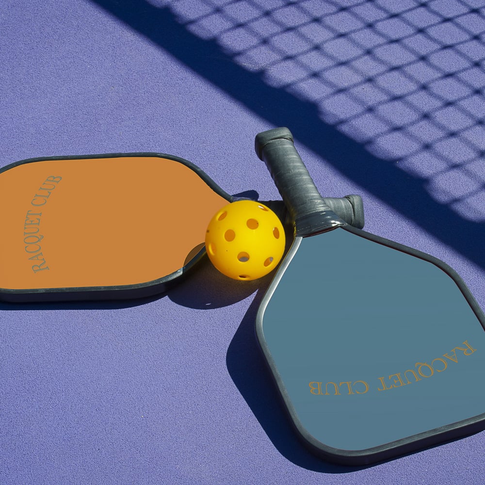 Pickleball set