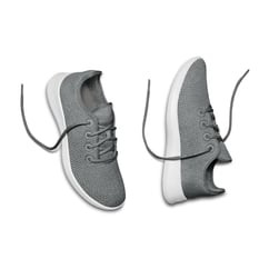 AllbirdsSneakers