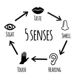 5-senses-1-300x300