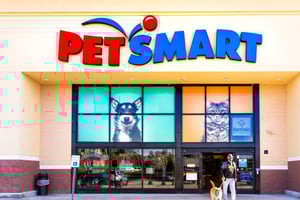 istockphoto-1383559508-612x612