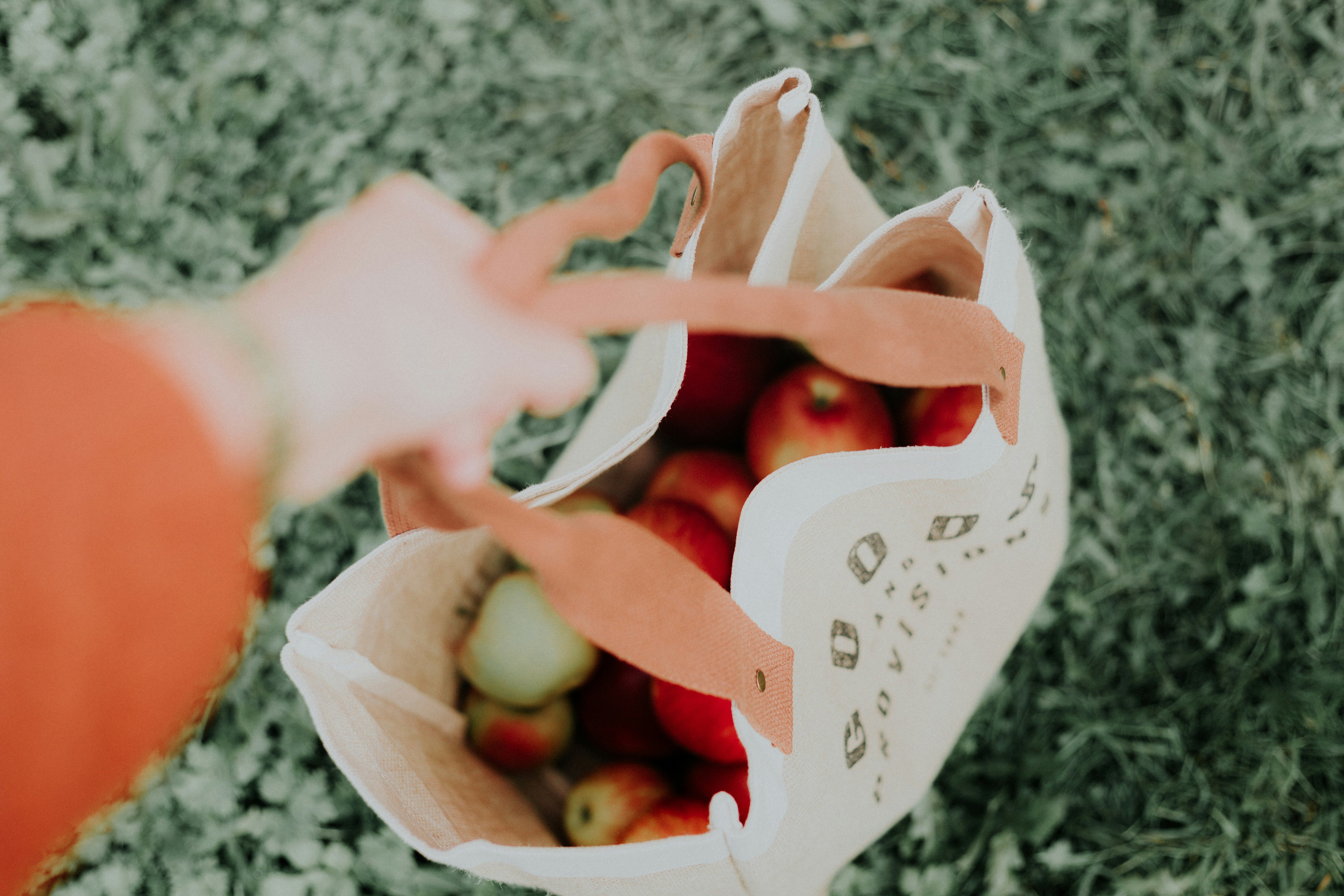 priscilla-du-preez-L3lznpRPZbI-unsplash (1)