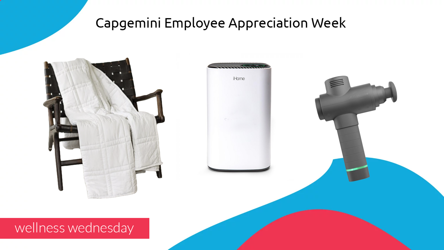 Portfolio Capgemini Boosts Employee Engagement with Sustainable Products