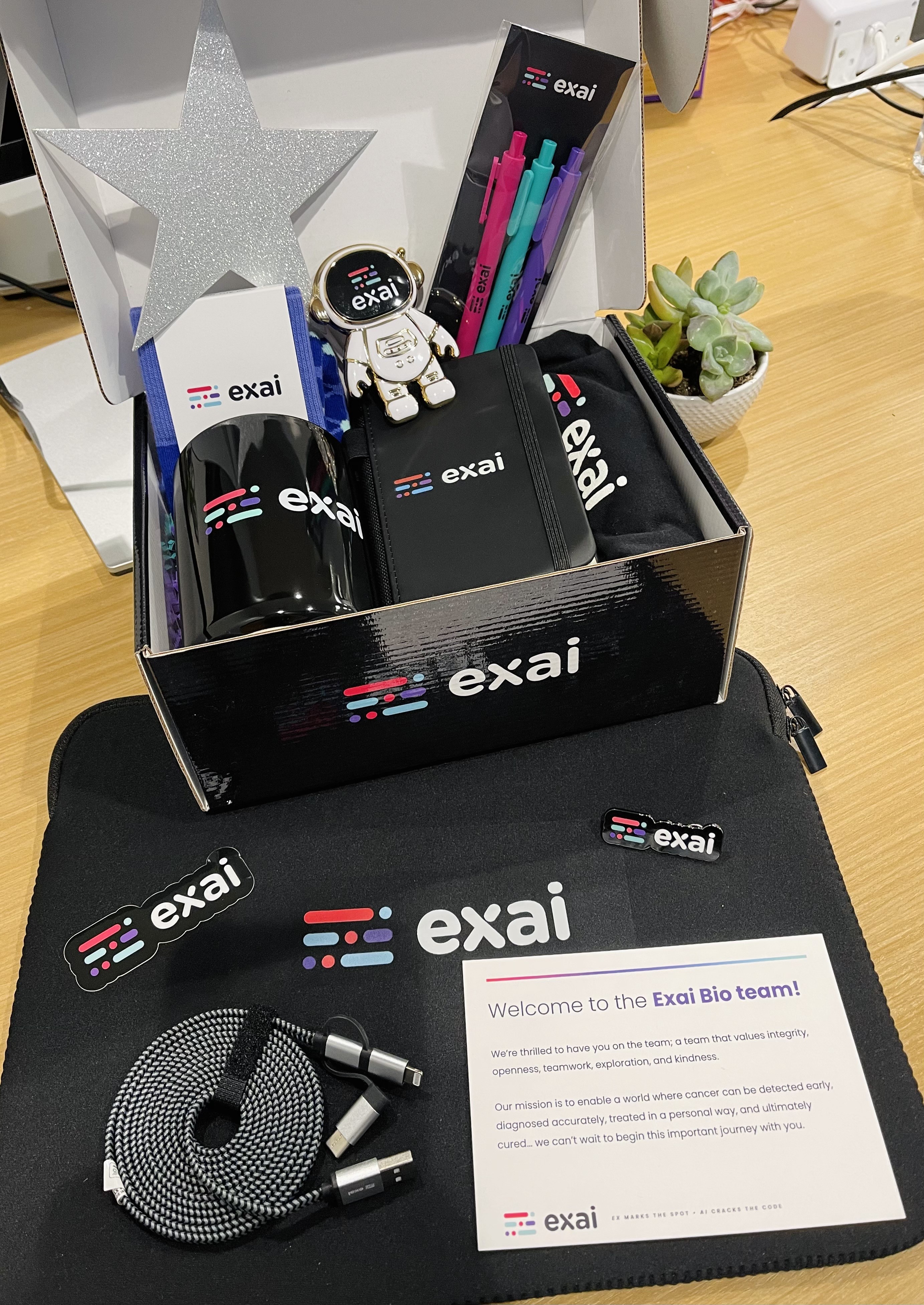 Boundless Helps Biotech Company Exai Inspire Employees