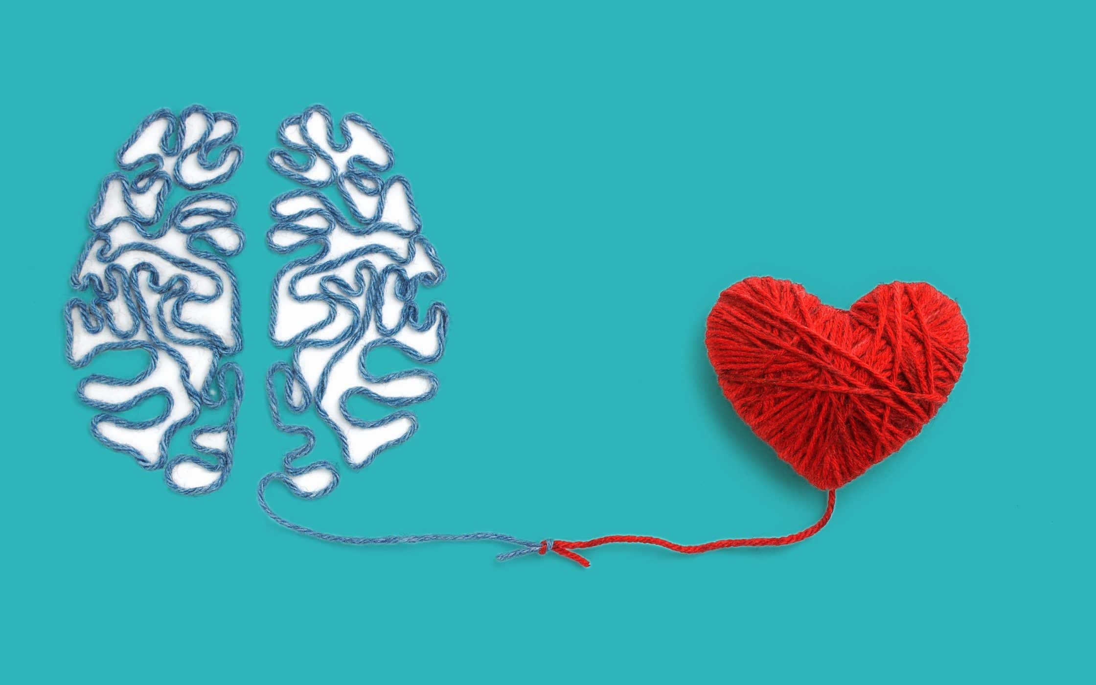 brain heart yarn